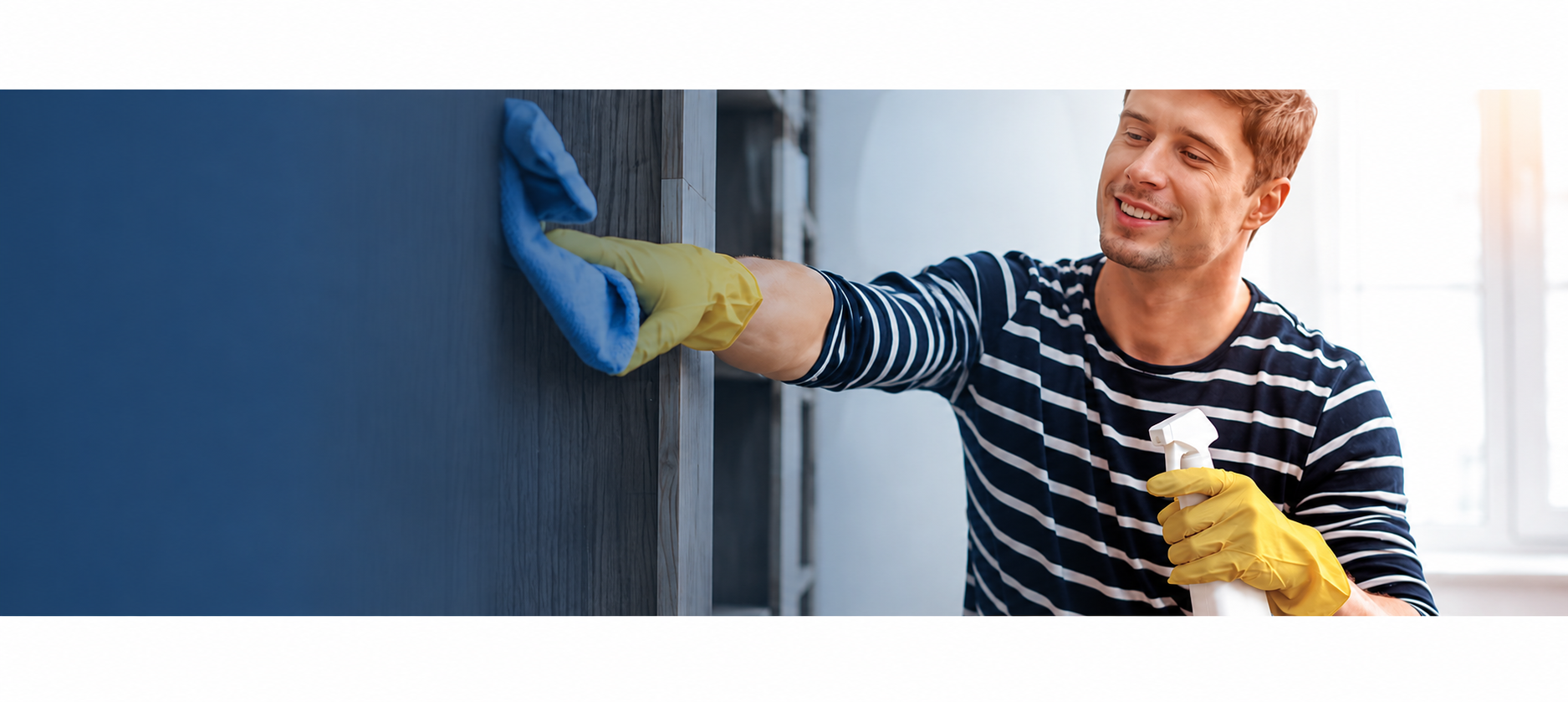 Professional Cleaner