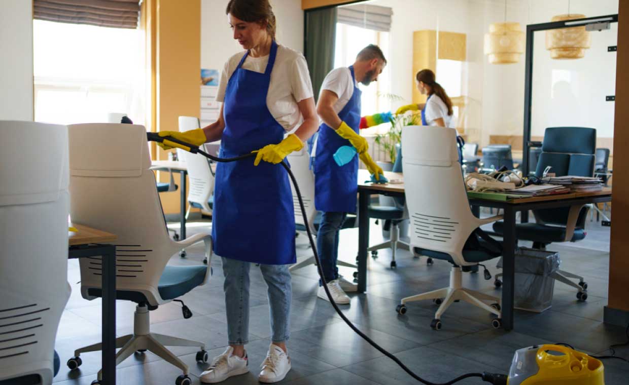 Professional Cleaning