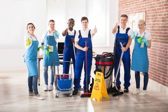 Professional Cleaner