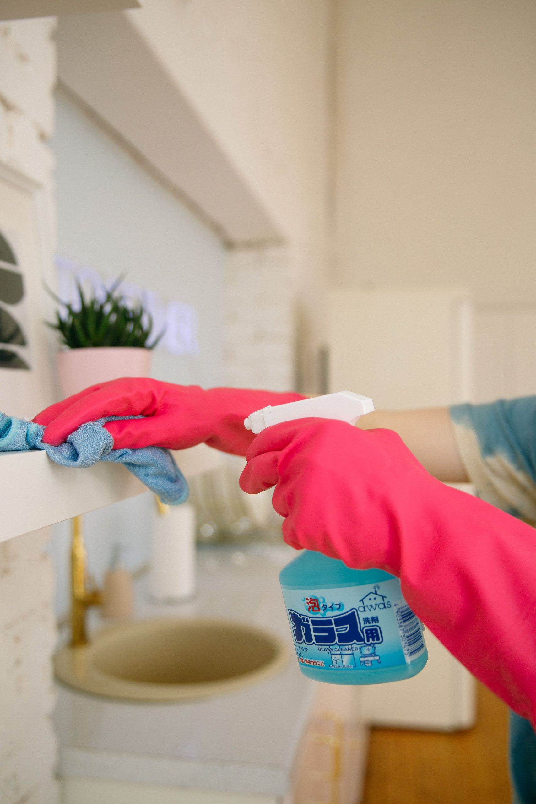 House and Apartment Cleaning