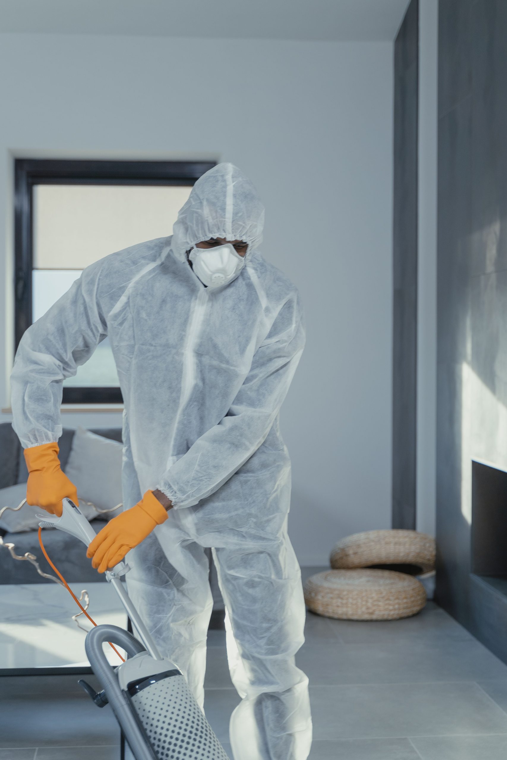 Same Day Cleaning Services